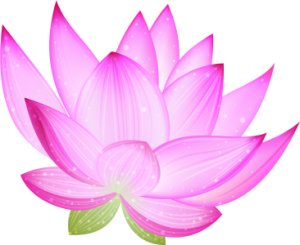 a lovely lotus blossom